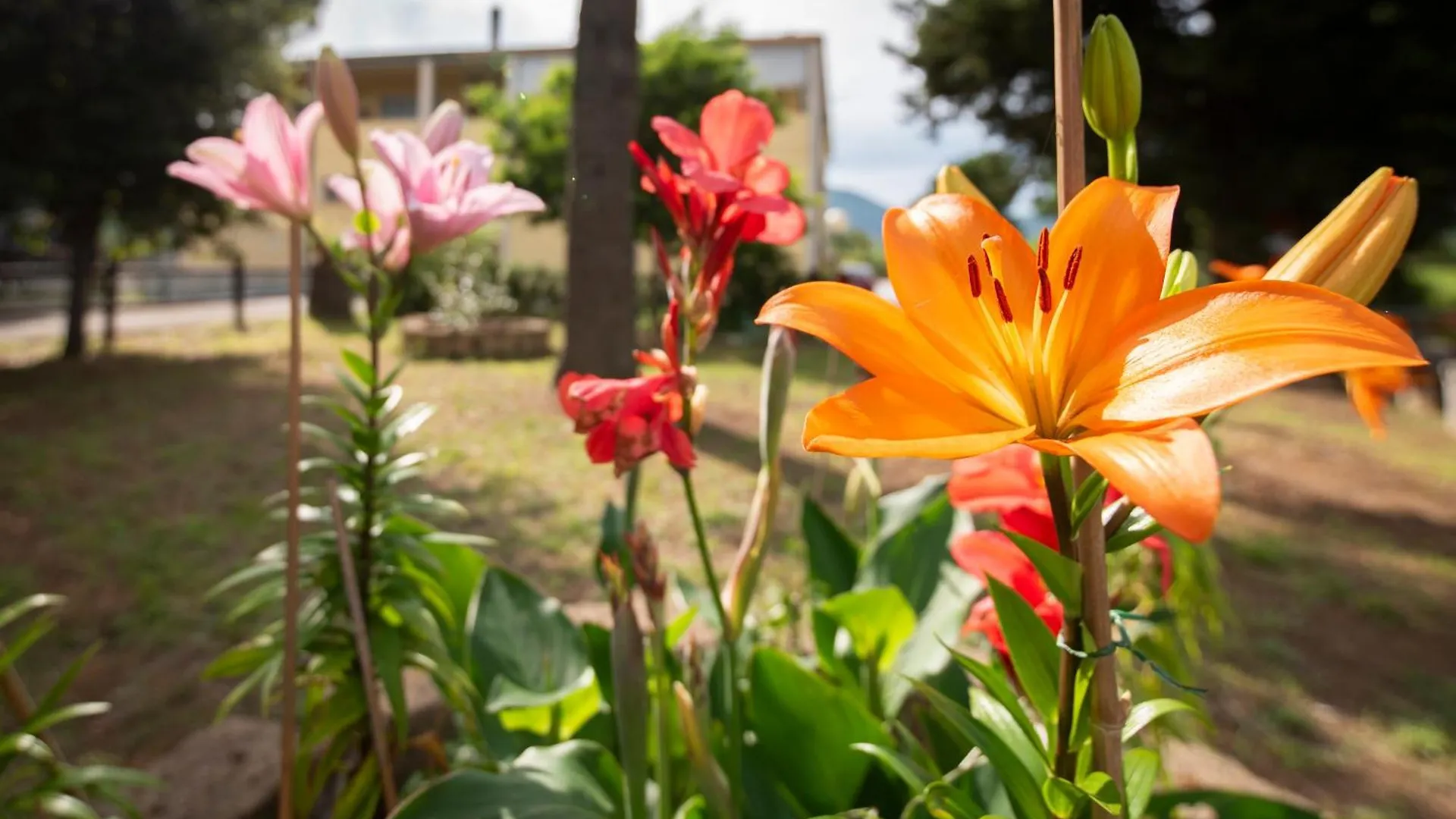 Holiday home Art Beds & Garden 9 Beds Between The Sea, Thermal Baths, And The Tuscan Countryside Suvereto