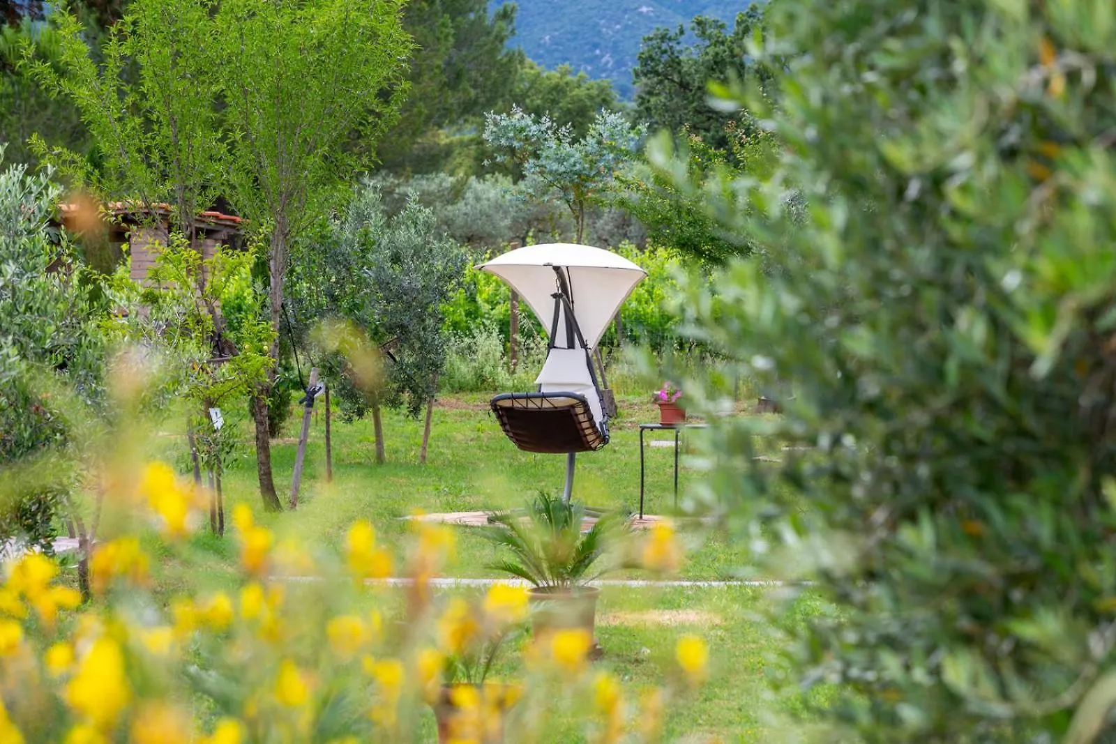 Art Beds & Garden 9 Beds Between The Sea, Thermal Baths, And The Tuscan Countryside Suvereto Holiday home