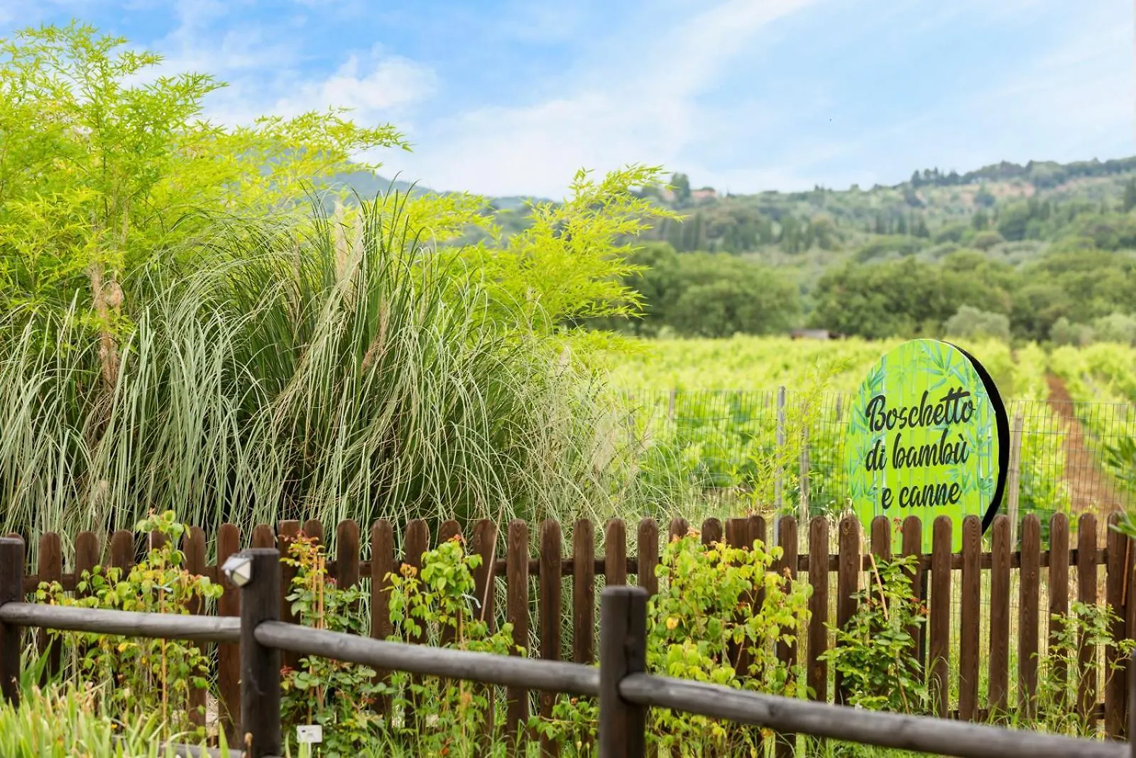Art Beds & Garden 9 Beds Between The Sea, Thermal Baths, And The Tuscan Countryside Suvereto