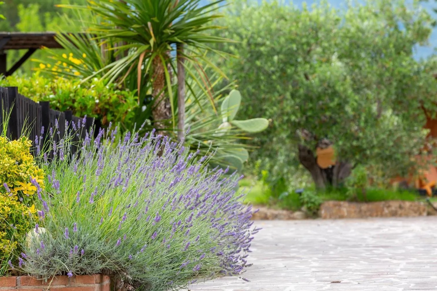 Holiday home Art Beds & Garden 9 Beds Between The Sea, Thermal Baths, And The Tuscan Countryside Suvereto